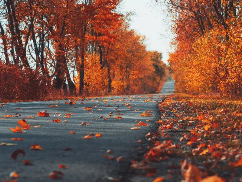 Tres países europeos ideales para recorrer en autocaravana este otoño  Descubre los mejores destinos europeos para viajar en autocaravana este otoño: paisajes únicos, cultura y libertad en Alemania, Italia y Noruega