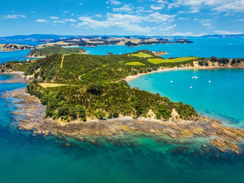 Paisaje costero virgen con vegetación frondosa y playa de arena en la isla Stewart, Nueva Zelanda