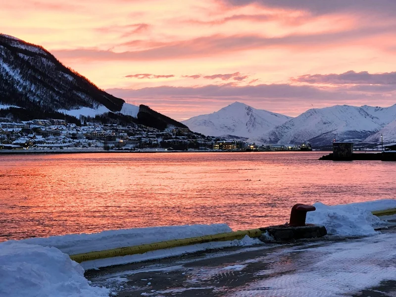 paisaje-costero-de-noruega-iluminado-por-la-luz-dorada-del-sol-de-medianoche