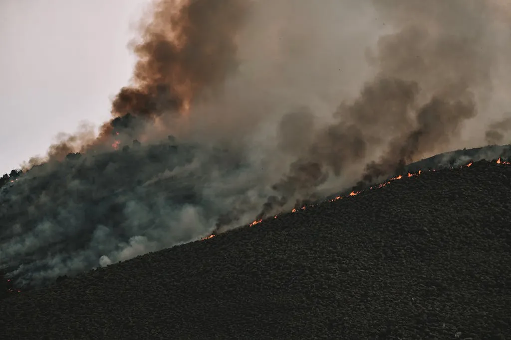 Causas del cambio climático Salud y Bienestar