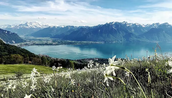 Lago Lemán, vista de Montreux - Europa Press/Wikipedia Commons