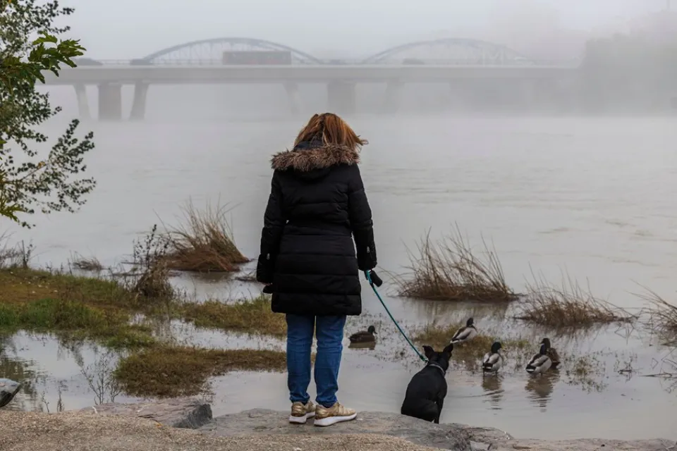 Una mujer pasea a su perro. EFE/Javier Cebollada
