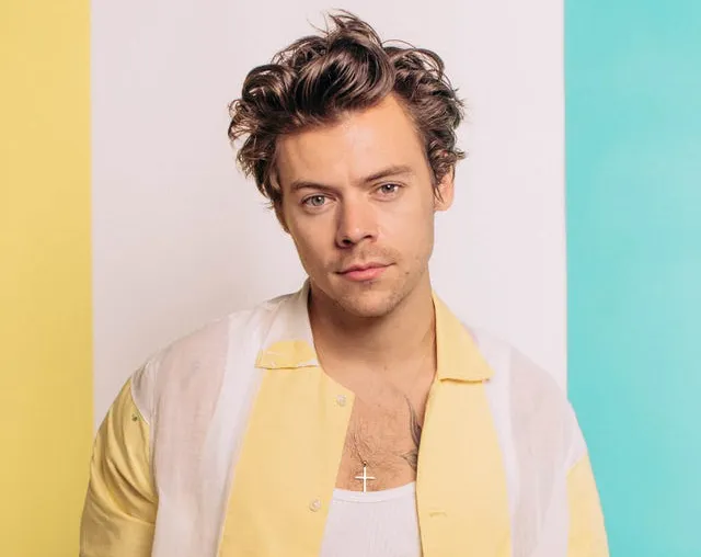 Harry Styles anuncia su regreso con una gira para este 2026|Foto: Helene Marie Pambrun Harry Styles anuncia su cuarto álbum, "Kiss All the Time. Disco, Occasionally", con una gira mundial que tendrá lugar en el Madison Square Garden.