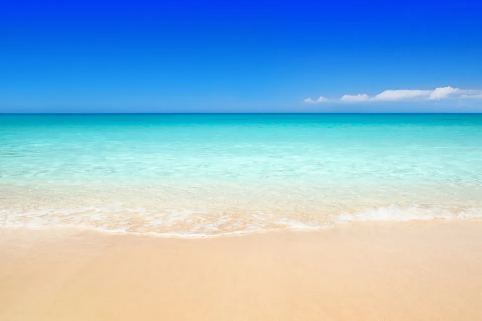 Descubre las playas españolas que pierden su bandera azul  Descubre las playas españolas que pierden su distintivo de bandera azul en 2025