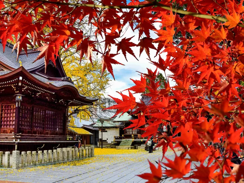 Tokio en otoño: festivales, colores y paisajes de ensueño  Tokio se transforma en otoño con festivales de ramen, cosplay, crisantemos y luces navideñas. Descubre qué ver, comer y celebrar en la capital japonesa