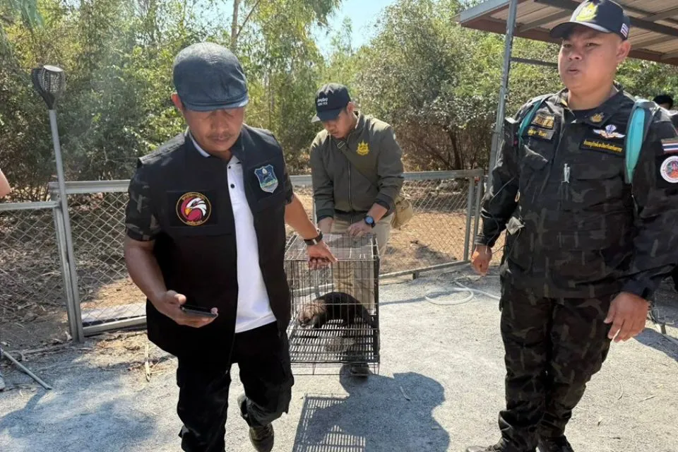 Frank Cuesta detenido en Tailandia|Foto: EFE Departamento tailandés de Parques Nacionales, Vida Silvestre y Conservación Detenido en Tailandia el youtuber y naturalista español Frank Cuesta por posesión ilegal de animales protegidos