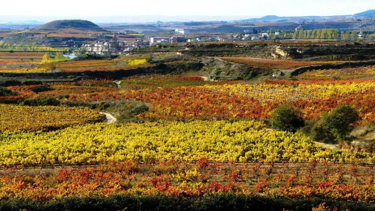 Briñas - La Rioja
