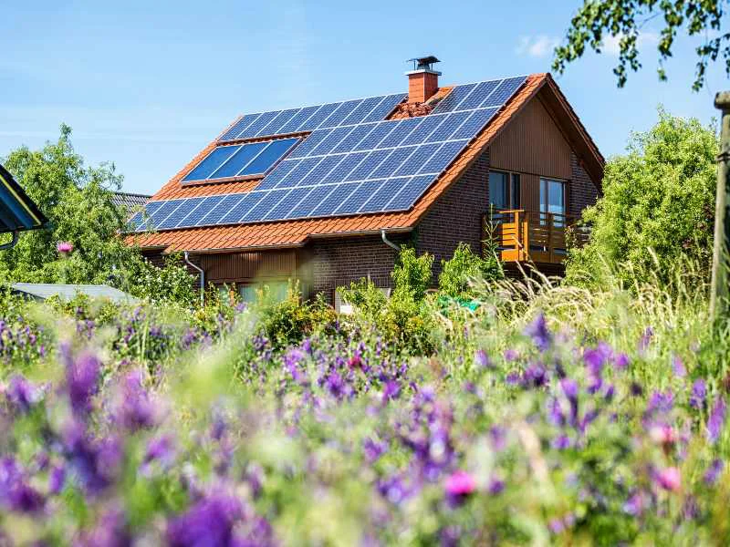 Casas de bioconstrucción rodeadas de huertos comunitarios y paneles solares al aire libre