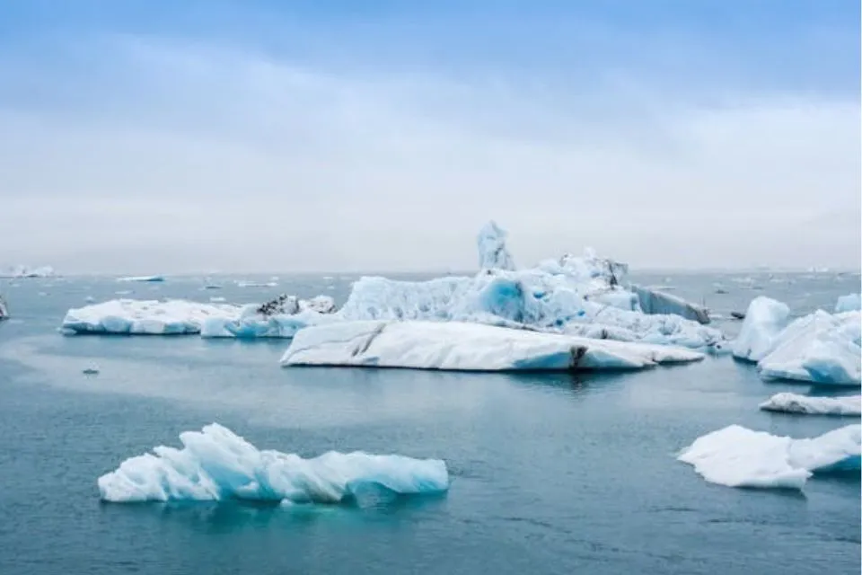 Cambio climático 