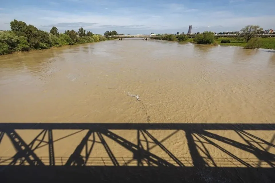 La primera jornada de Martinho, caudal del río Guadalquivir a su paso por Sevilla|Foto: EFE/Julio Muñoz La primera jornada de Martinho: incidencias por el fuerte viento  

