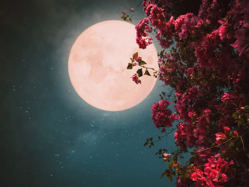 luna-llena-brillante-en-el-cielo-nocturno-de-verano