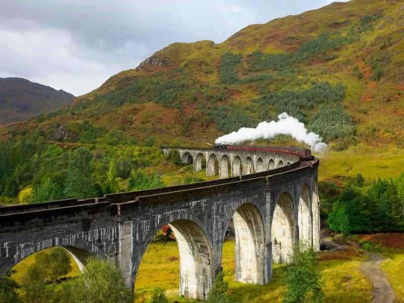 tren-vistas-bosque-arboles