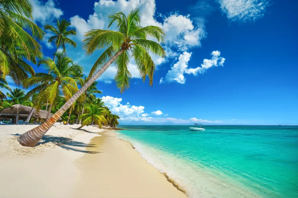 Ofertas tentadoras para disfrutar del verano en lugares como Punta Cana Ofertas tentadoras para disfrutar del verano en el caribe o en el Mediterráneo
