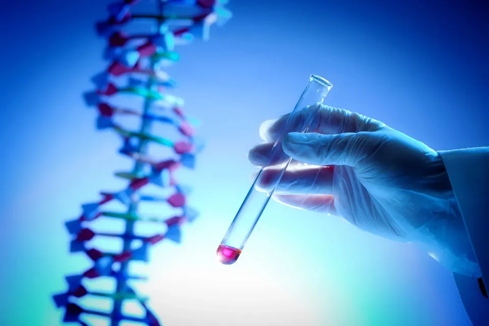 Un equipo internacional logra una visualización sin precedentes del genoma humano Un equipo internacional logra una visualización sin precedentes del genoma humano
