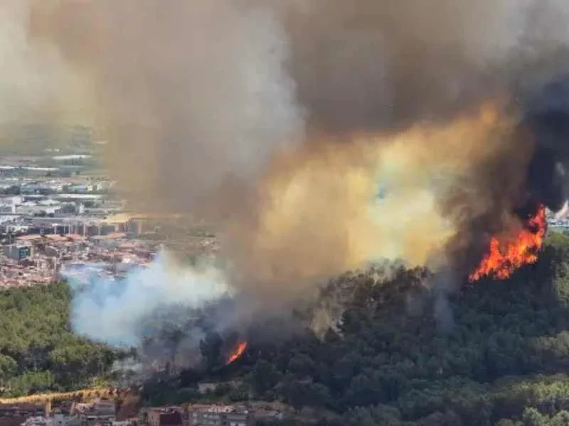 Incendio forestal activo en el municipio de Gavà|Foto: Bombers de la Generalitat de Catalunya