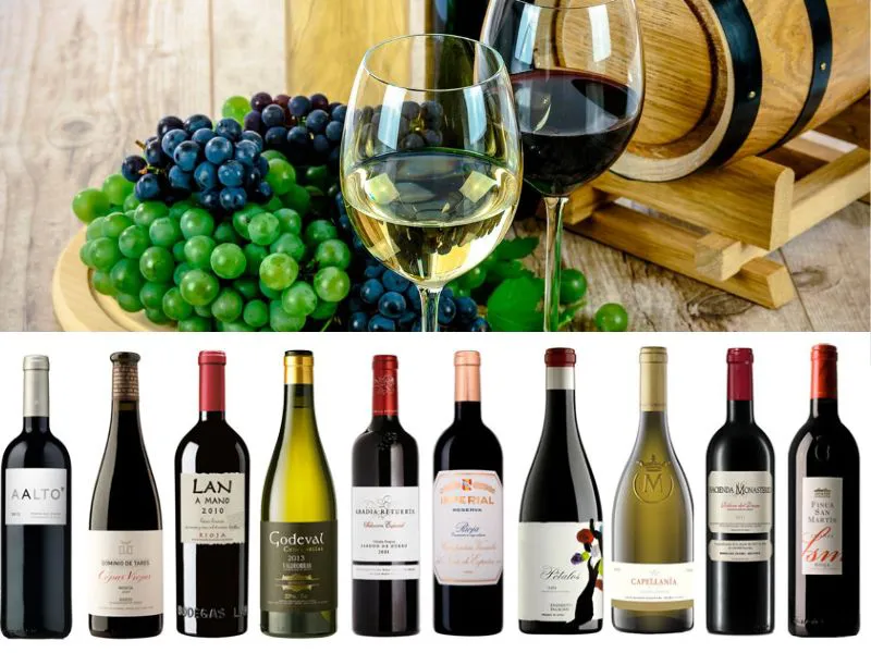 El vino en España no es una moda ni una copia extranjera: es una tradición milenaria, profundamente arraigada y culturalmente indispensable