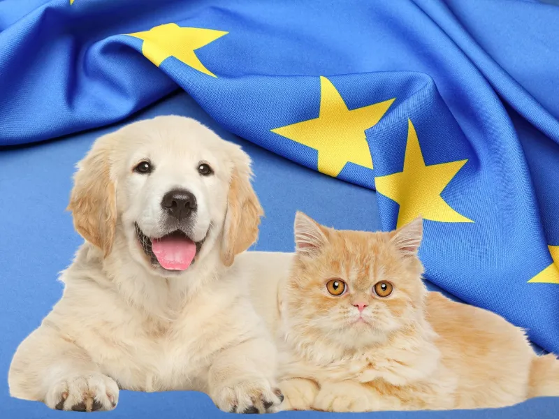 ue-normativa-perros-gatos-microchip-2028 La Unión Europea obliga a dueños de perros y gatos a cumplir nuevas normas de bienestar e identificación desde 2028