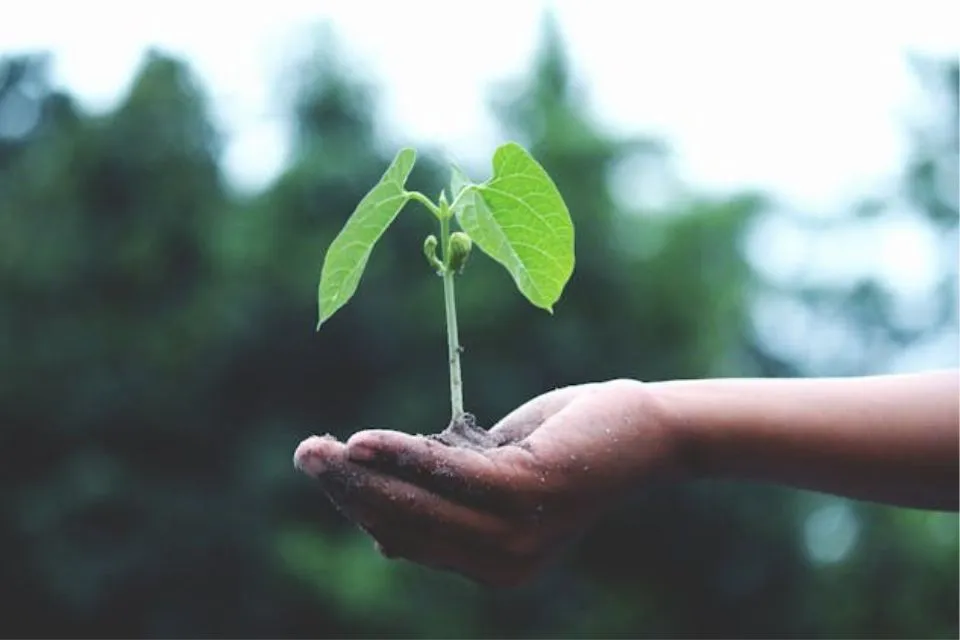 Cambio climático 2