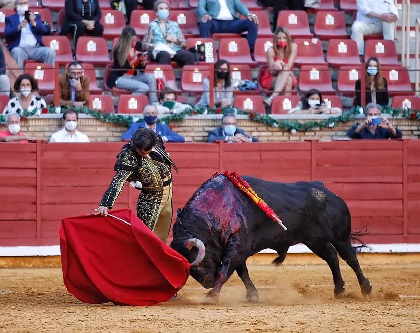 Tauromaquina