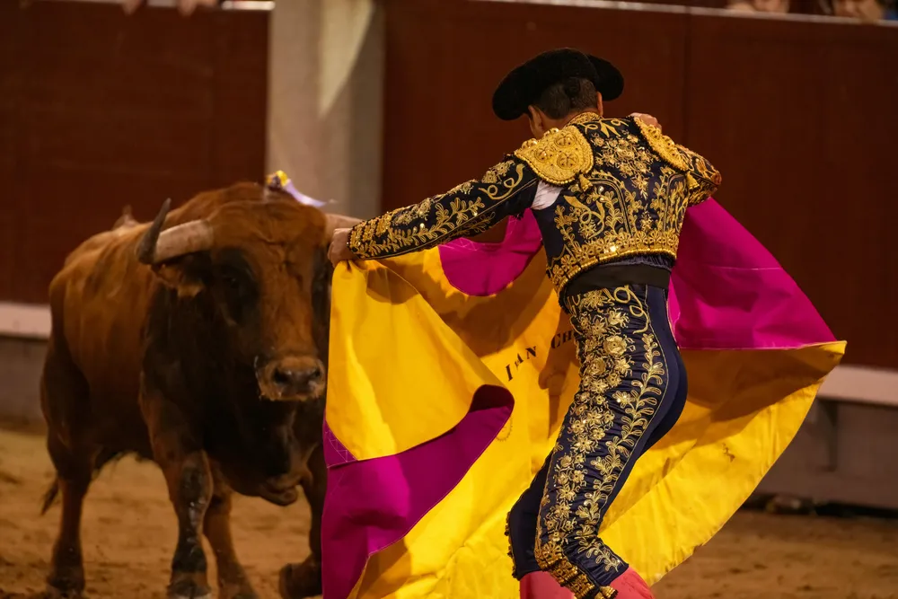Torero con toro en la Plaza de Toros de Las Ventas de Madrid| Pexels / Miguel Cuenca Ciudad de México impulsa iniciativa para prohibir las "corridas de toros con sangre" y regular la tauromaquia
