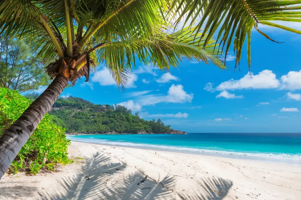Las playas paradisíacas y el reggae de Jamaica Playas paradisíacas y reggae: Jamaica como el mejor destino familiar