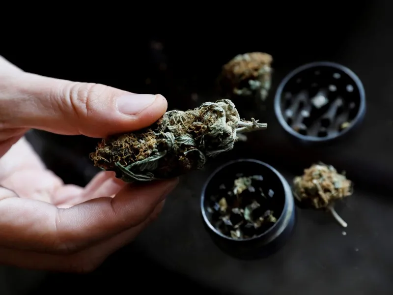 España aprueba el uso terapéutico del cannabis en hospitales|Foto: EFE/Ana Escobar El Gobierno español regula el uso médico del cannabis para tratar esclerosis múltiple, dolor crónico y náuseas por quimioterapia. Sólo con receta hospitalaria y bajo control de la Agencia Española de Medicamentos y Productos Sanitarios