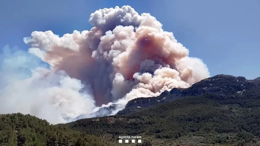 El incendio forestal de Paüls (Tarragona)|Foto: EFE/Agents Rurals   Incendio en Tarragona ha quemado 3.137 hectáreas, más de un tercio en el parque de Els Ports

