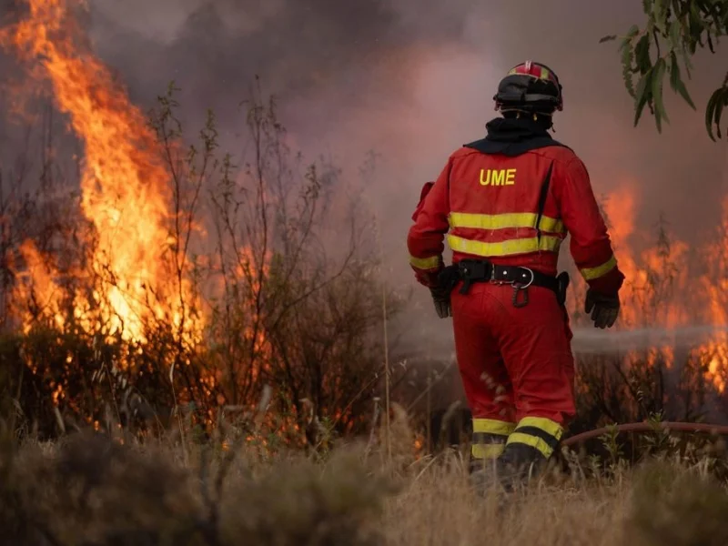 Efectivos de bomberos y brigadas de emergencia trabajando en la extinción de un incendio forestal|Foto: Europa Press 