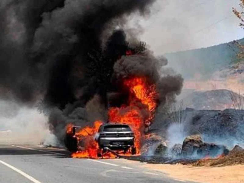 Incendio forestal en San Martín de Valdeiglesias por un coche|Foto: Telemadrid