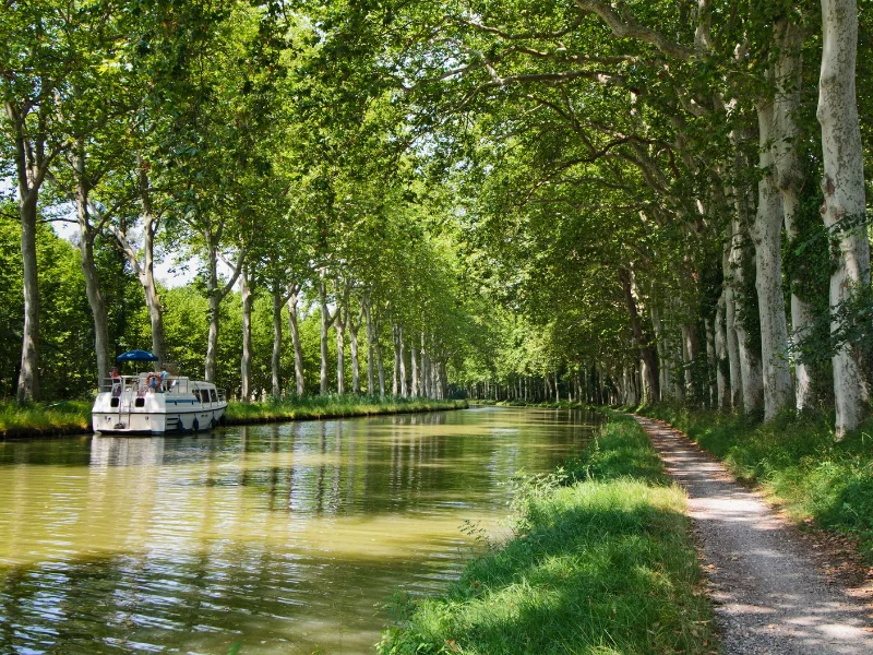 Barco turístico navegando por el Canal du Midi flanqueado por árboles en el sur de Francia