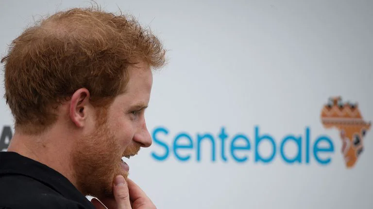 Príncipe Harry enfrentará una demanda por parte de la fundación que el creó  Foto: Sky News