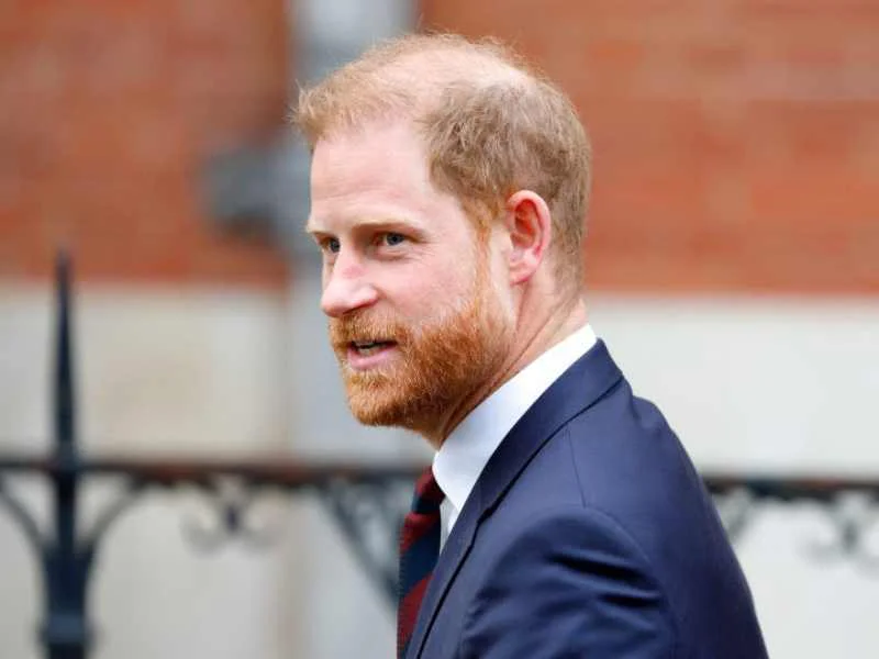  principe-harry-revela-ocupacion-actual|Foto: Getty Images 
