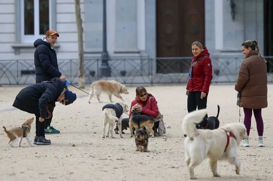 Un grupo de personas pasea a sus perros en un barrio madrileño. EFE/Mariscal Europa se fija en el modelo de España para encontrar mascotas extraviadas
